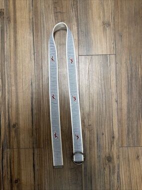 Hollister vintage Y2K Striped White & Blue Webbing Belt with Red Bird Accent